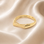 Anillo Vértice