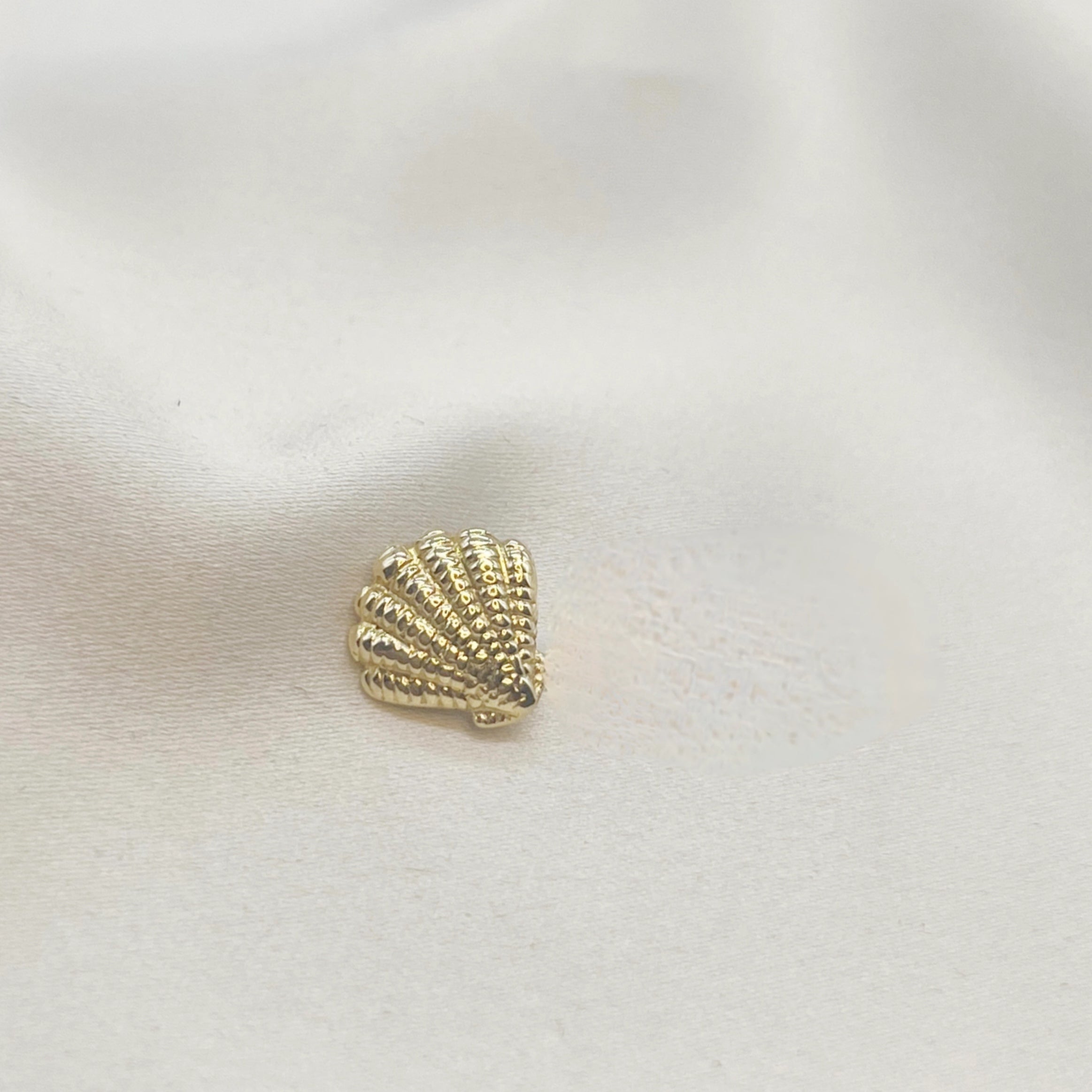 Colgante Shell de Mar en Oro Amarillo 18k